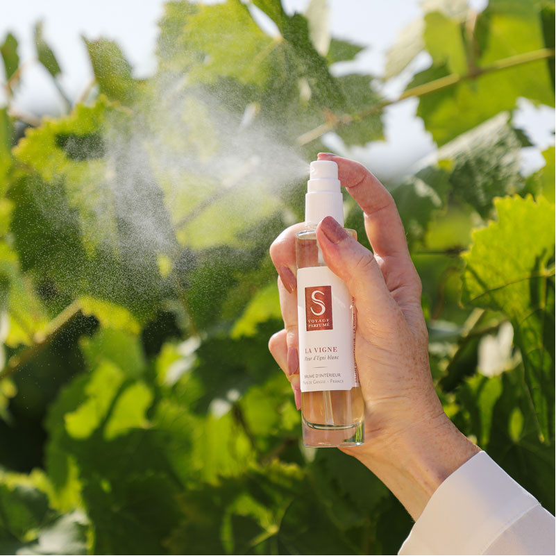 La Vigne - Brume parfumée - Vaporisateur d'ambiance